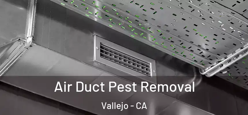 Air Duct Pest Removal Vallejo - CA