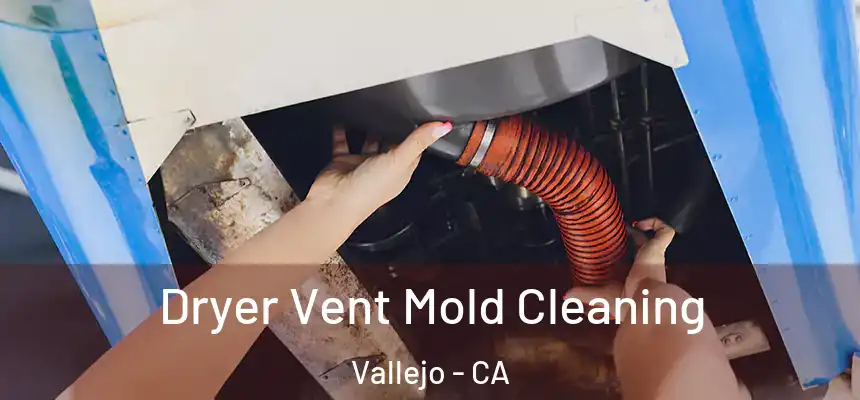 Dryer Vent Mold Cleaning Vallejo - CA