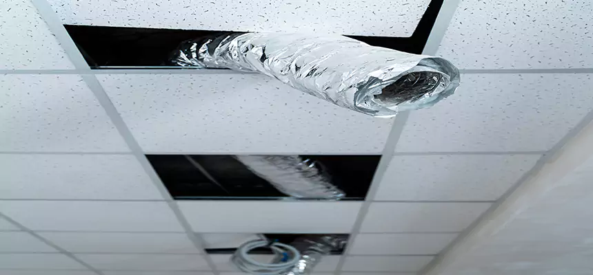 Our Air Duct Pet Hair Removal Services in Vallejo, CA