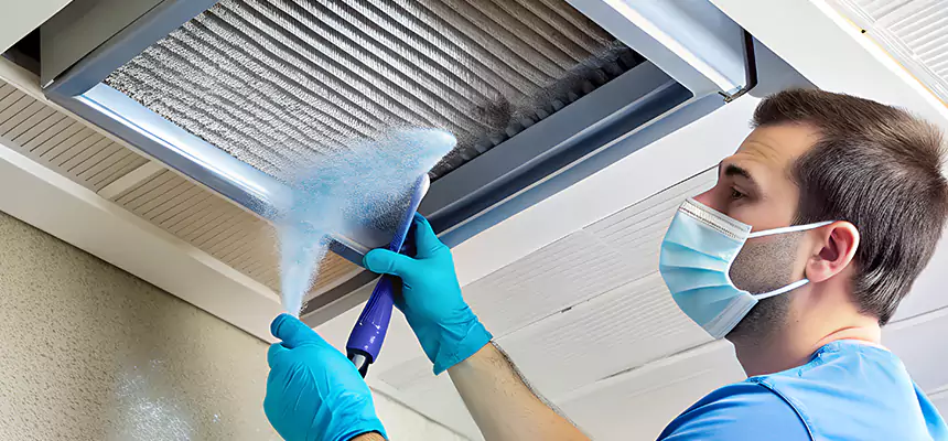 Proactive Dryer Vent & Auxiliary Duct Pollen Cleanup in Vallejo, CA