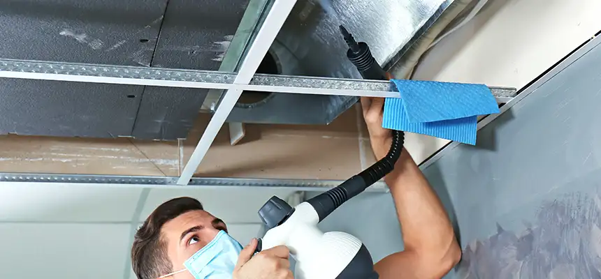 Our Air Duct Rodent Removal Services in Vallejo, CA
