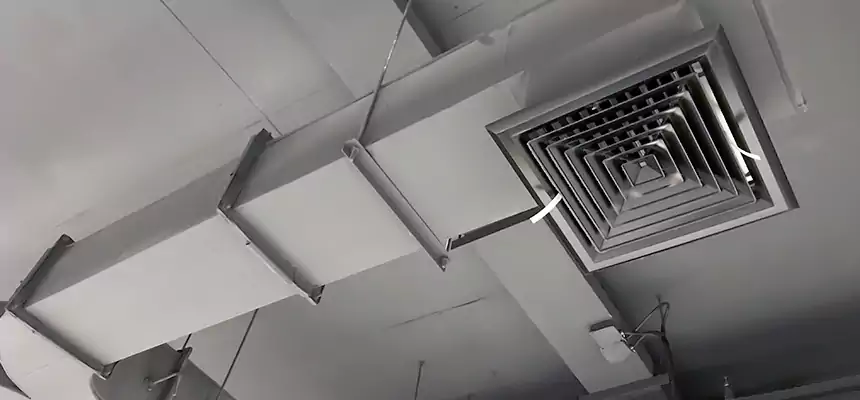 Restorative Allergy Relief Vent Cleaning – Coil, Blower & Housing Detail in Vallejo