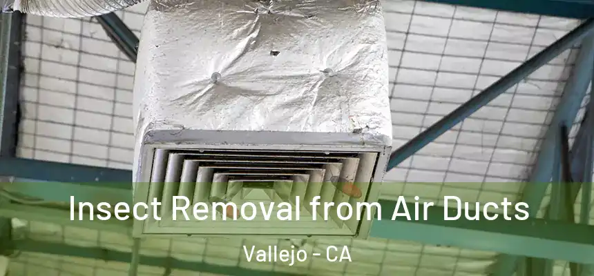 Insect Removal from Air Ducts Vallejo - CA