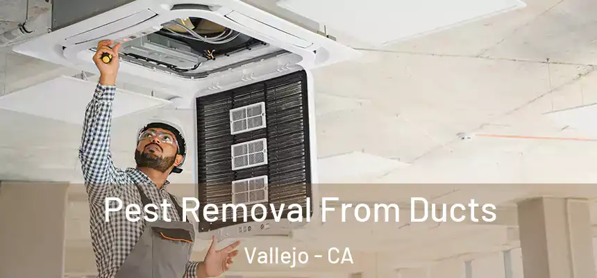 Pest Removal From Ducts Vallejo - CA