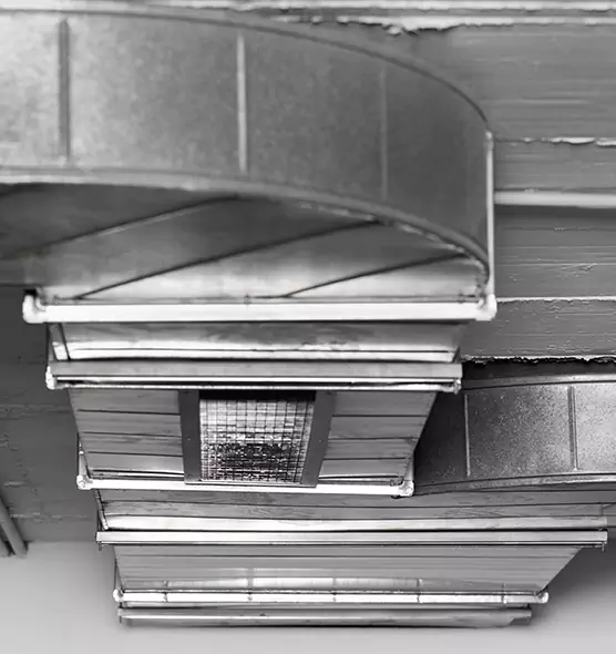 Professional Air Duct Pest Removal in Vallejo, CA