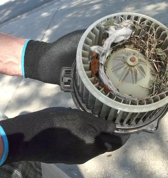 About Air Duct Rat Removal in Vallejo, CA