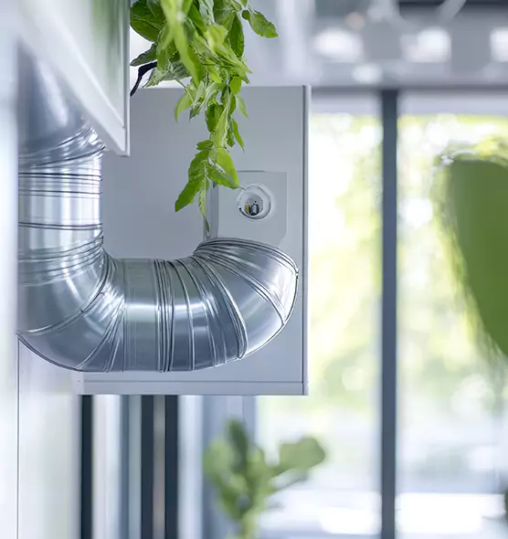 Professional Eco-Safe Dryer Vent Cleaning in Vallejo, CA