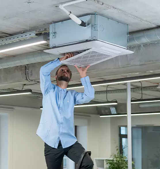 Advanced Rodent Droppings In Vents in Vallejo, CA
