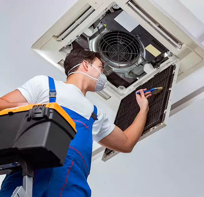 Why Homeowners & Businesses Trust Us in Vallejo, CA?