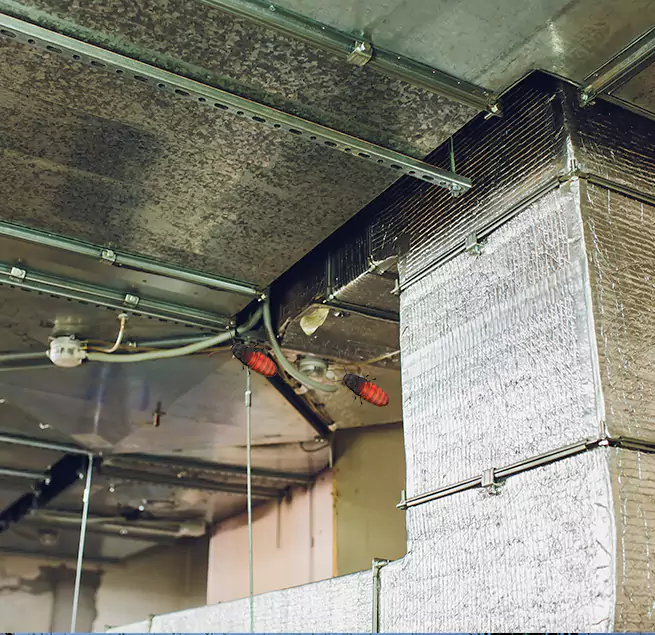 Why Homeowners & Businesses Trust Us Vallejo, CA?