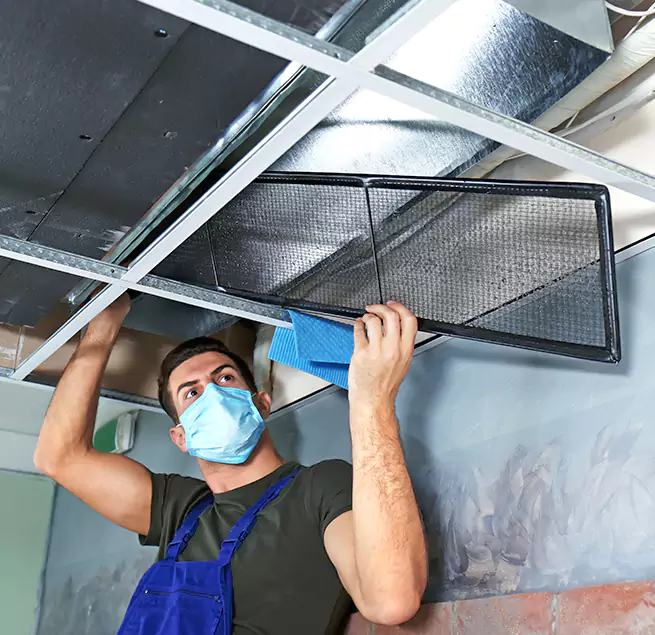 Why Homeowners Businesses Trust Us in Vallejo, CA?